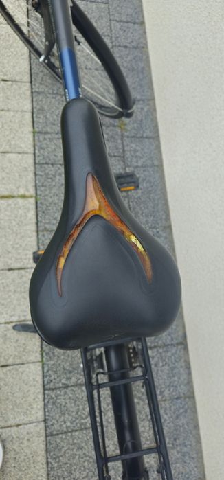 Rower Focus Wasgo rozmiar XL
