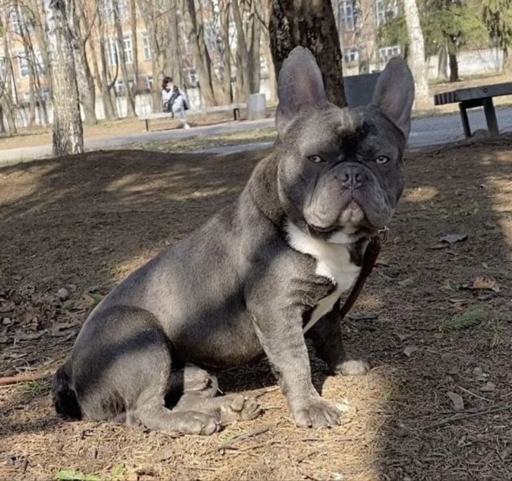 Вʼязка на програму КЮРЛІ