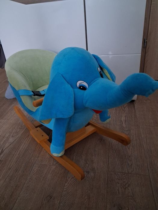 Słonik na biegunach