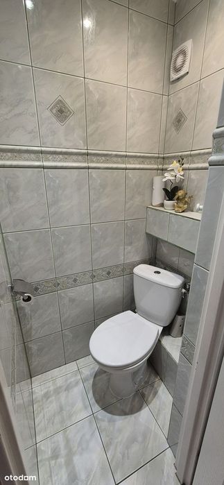 3 pokoje | balkon | 53m2 | przy Lesie