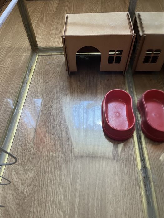 Тераріум/черепашник/для гризунів