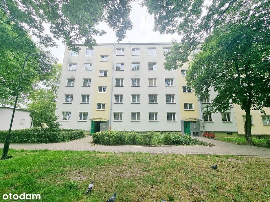 Mieszkanie M-5| 57,60 m²|Powstańców Warszawy|Chełm| - Widok 2