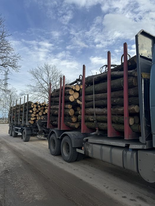 Grab buk dąb akacja sosna /drewno kominkowe opałowe
