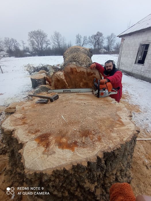 Спил аварійних дерев спиляти дерево бензопильщик