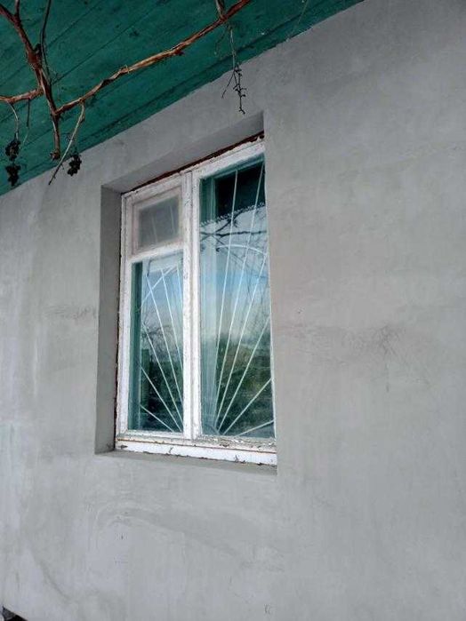 Дача поруч з лісом !