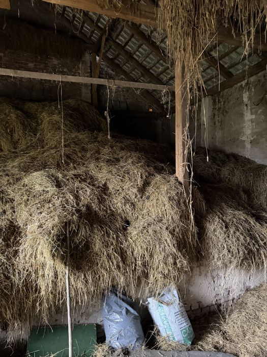 Oddam słome i siano