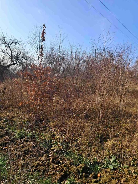 Продаж земельної ділянки під забудову в с.Бохоники 0962