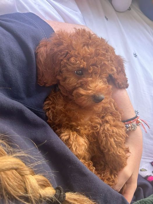 Тепло в мини-формате