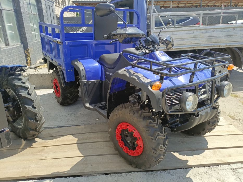 Квадрацикли Форте аtv-250bs-t