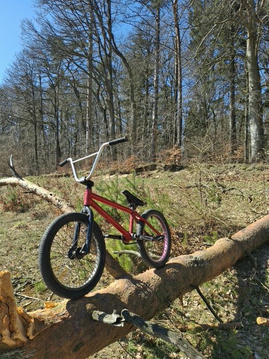 Bmx (na częściach Salt)