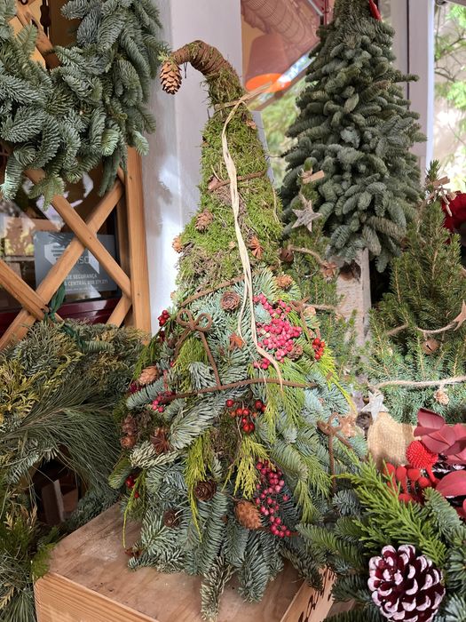 Pet sitting & Home care Lisboa/Telheiras