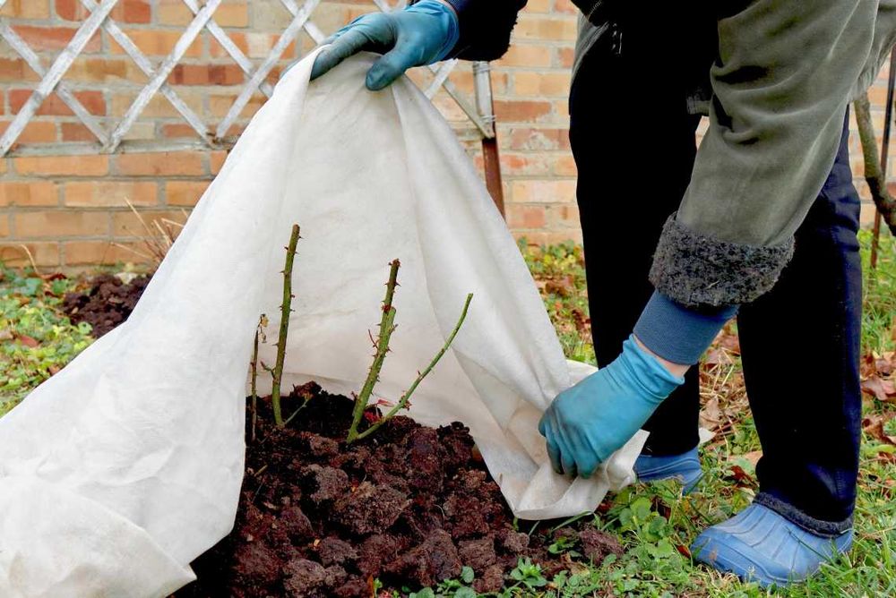 Kaptur ochronny na rośliny worek agrotkanina agrowłóknina zimowa mróz
