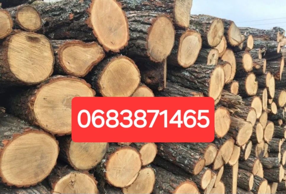 Дрова дуб, ясен, сосна пиляні рубані та інші породи