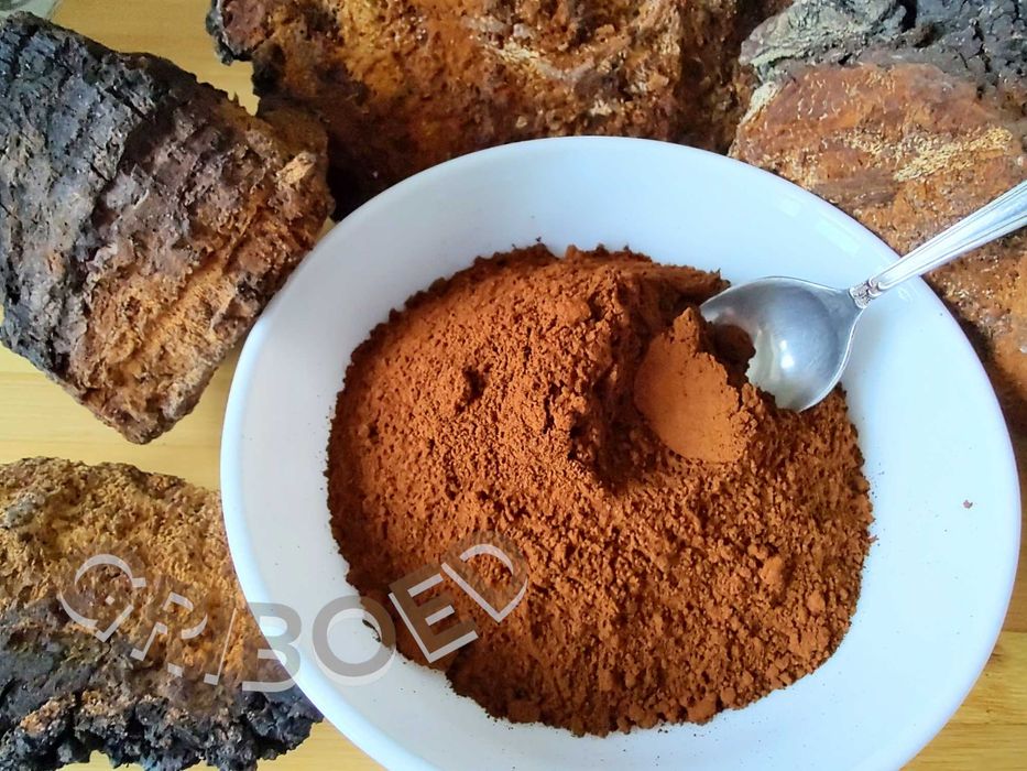 Чага гриб 300 грам! Сухий перемелений. Еліксир здоров'я та довголіття!