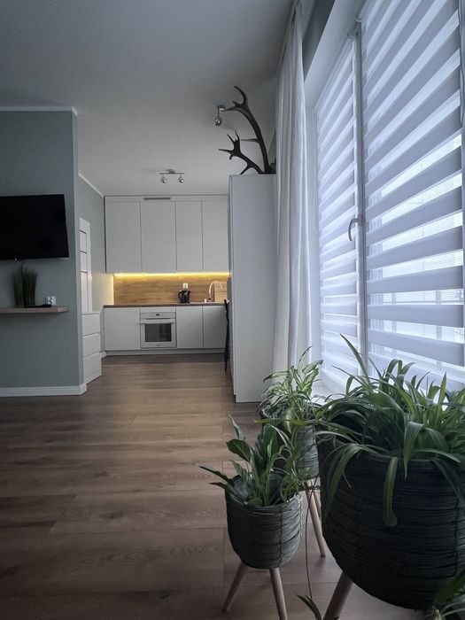 „KASPRZAKA 17- 2os Studio Zielone