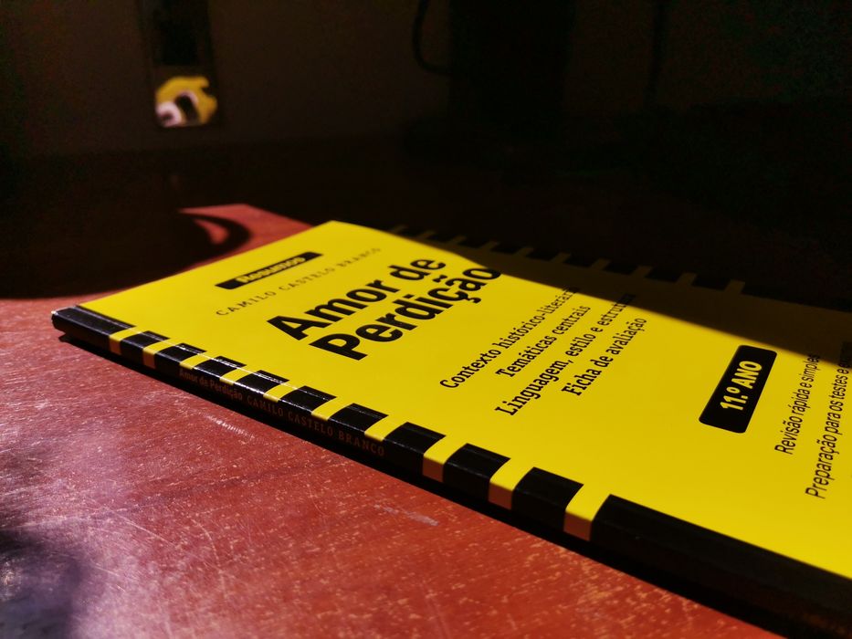 Livro de Resumos Amor de Perdição