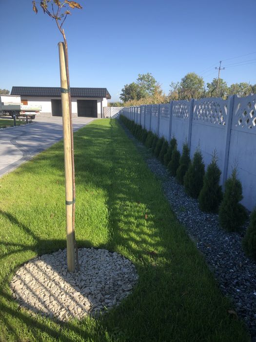 Usługi ogrodnicze Zakładanie ogrodów