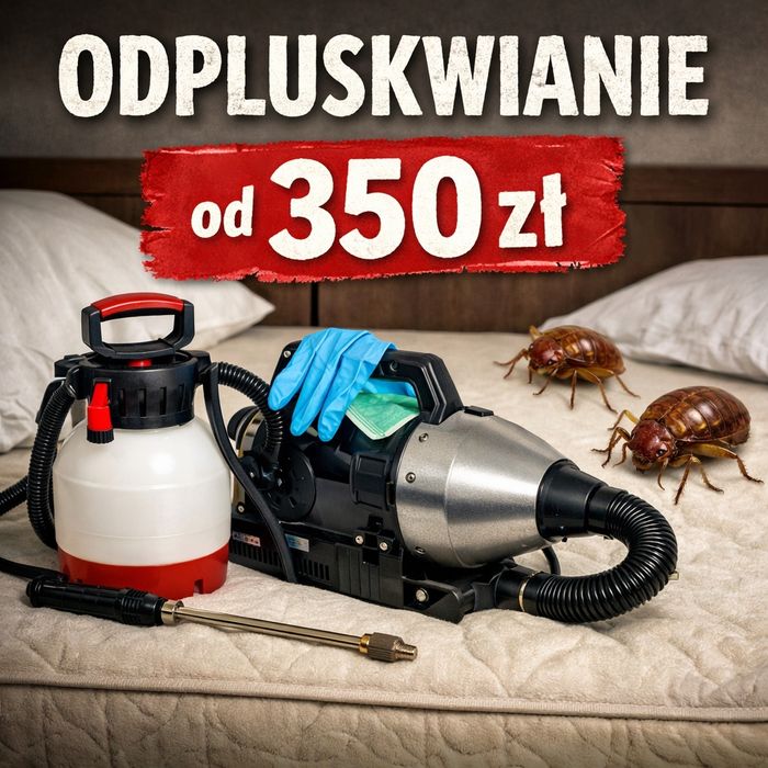Dezynsekcja - Odpluskwianie  mieszkań--Szybki termin