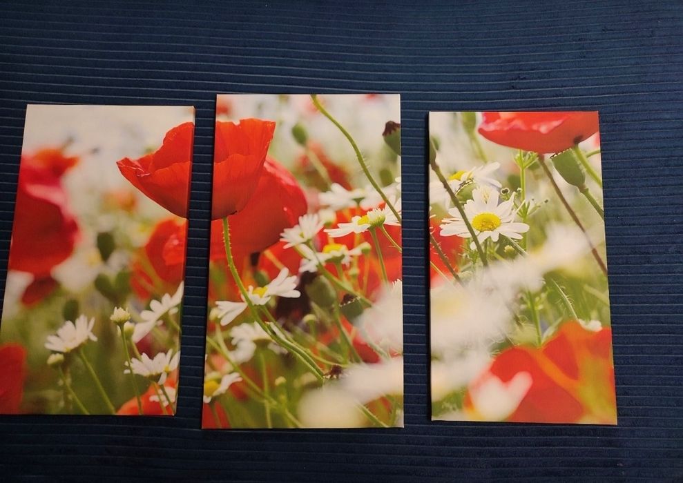 Модульная картина