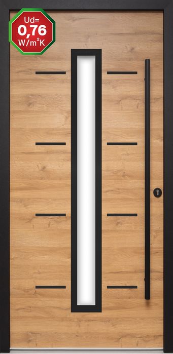 Drzwi zewnętrzne+ pochwyt