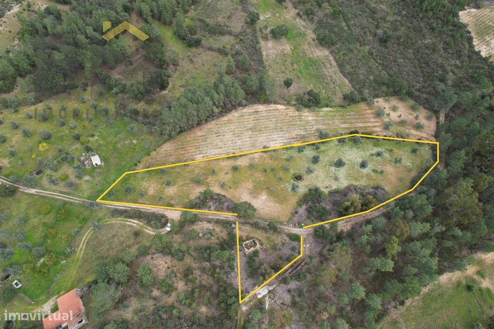 Quintinha  Venda em Freixial e Juncal do Campo,Castelo Branco