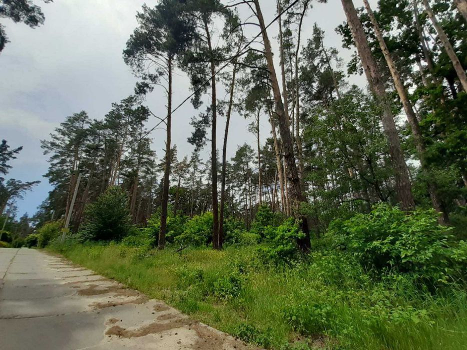 Продам участок под застройку в с. Плюты ЖМ Лесной. Конча Заспа