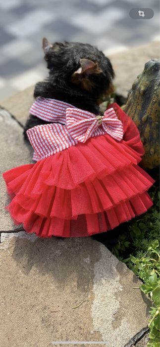 Кукольная  мини девочка