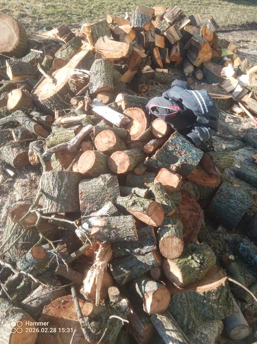 Drewno opałowe liściaste iglaste