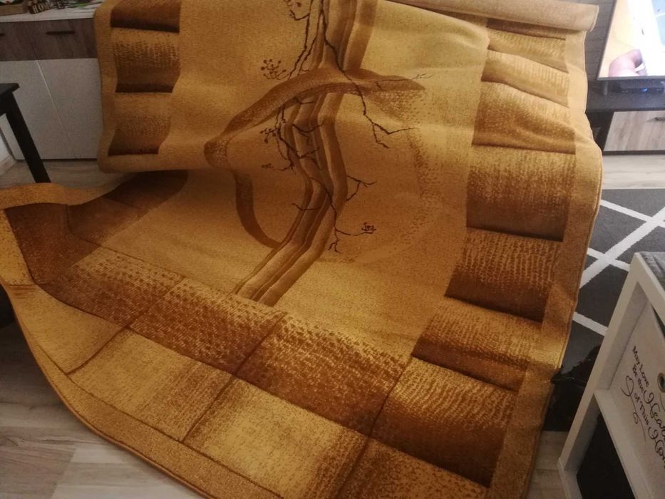 Nowy Dywan Agnella 250x350