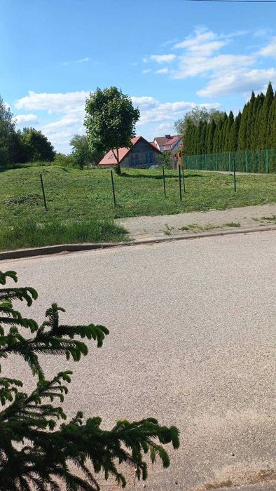Zdjęcie 7