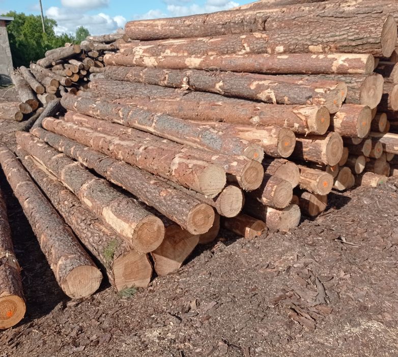 Drewno sosna świerk dąb opał deski kominkowe obladry zrzyny trociny