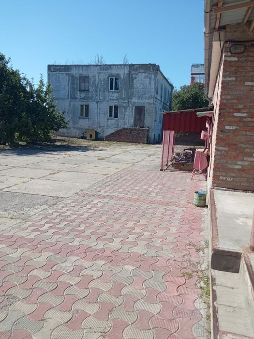 Комерційне приміщення - Вид 5