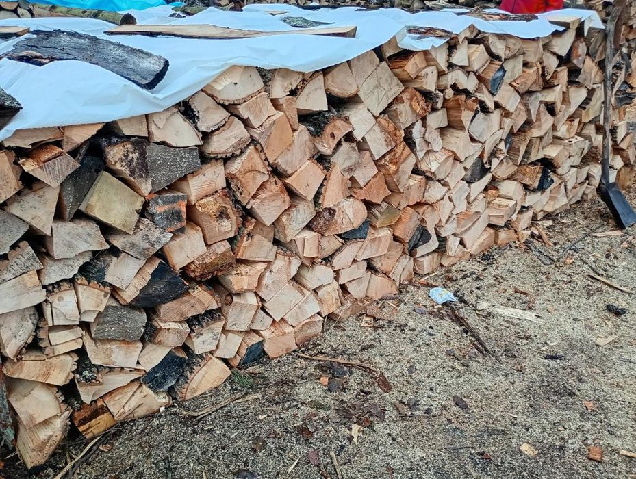 Drewno Kominkowe/ Opałowe