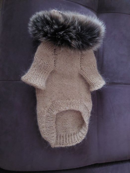 Одежда для маленьких собак,