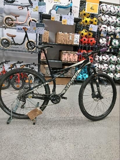 specialized epic