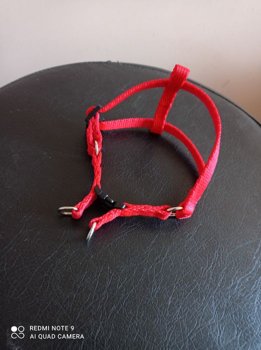 Szelki dla malutkiego szczeniaka lub małego kota.