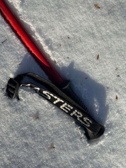 Narty zjazdowe Salomon MLX 9 + wiązania Salomon, uniseks, stan bdb