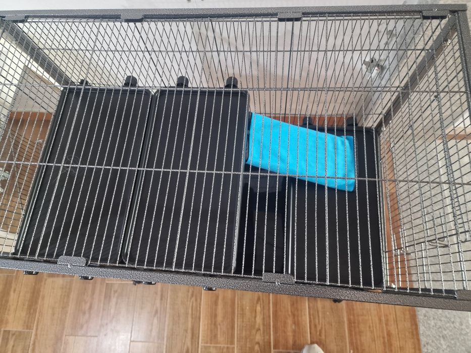 Gaiola para roedores