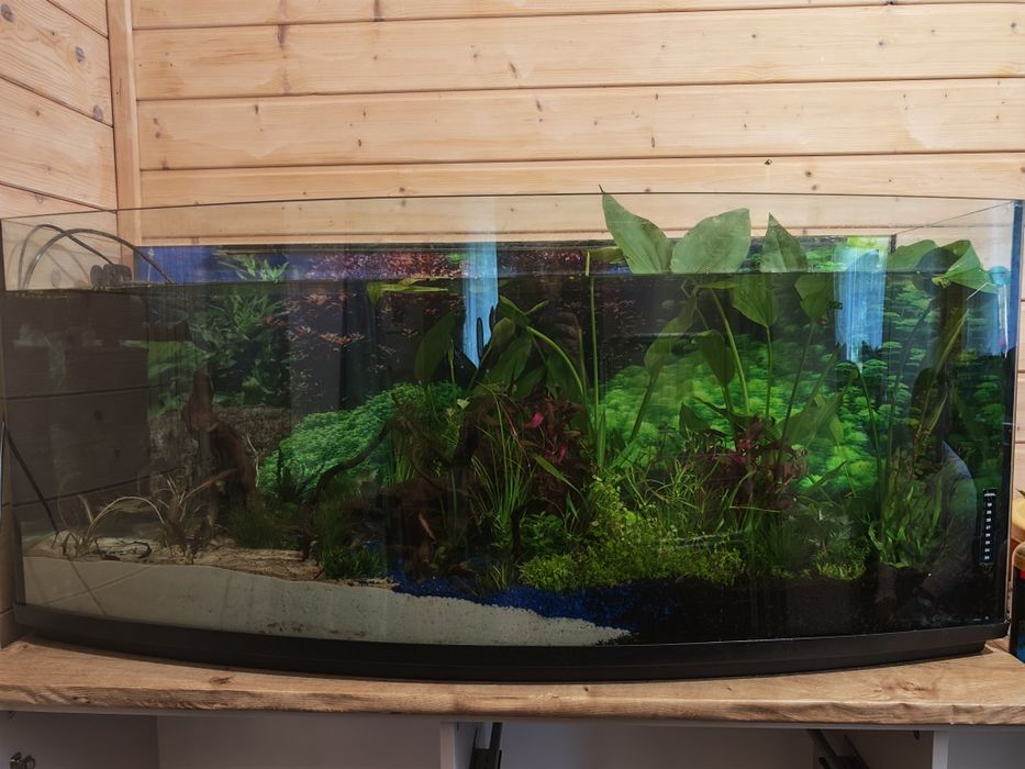 Akwarium 31/41x120x50 pokrywa