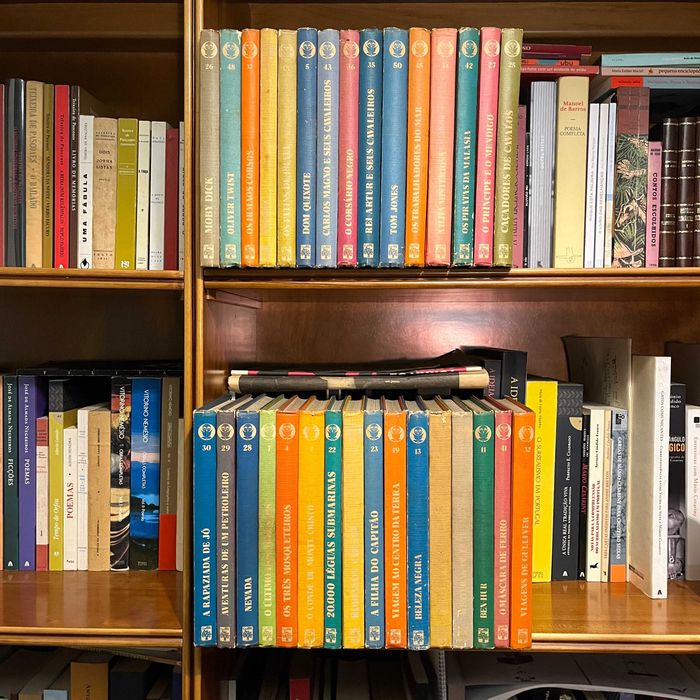 Clássicos da Literatura Juvenil (32 obras)