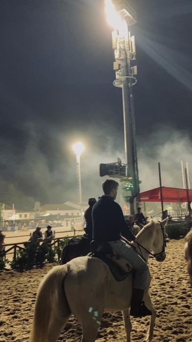 Cavalo cruzado 12 anos