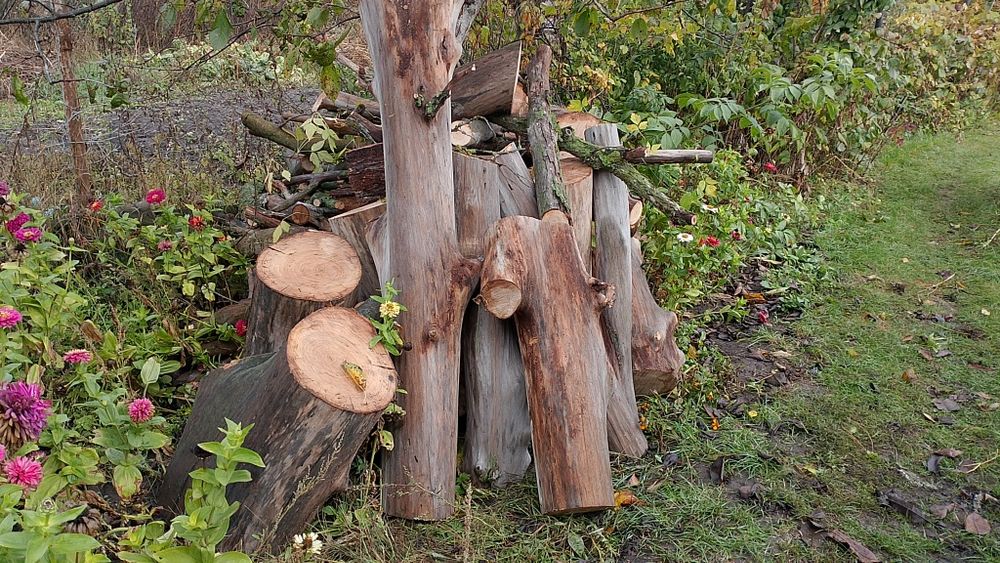 Продам дрова,чурбаки метровки твердої породи