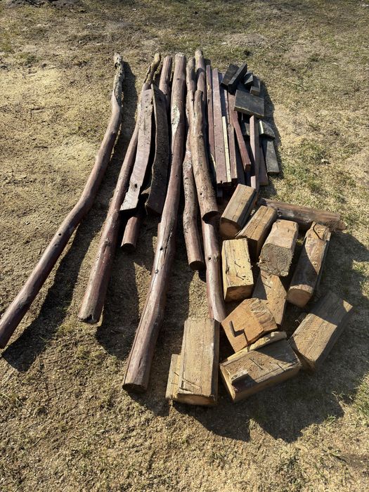 Oddam za darmo drzewo po demontażu