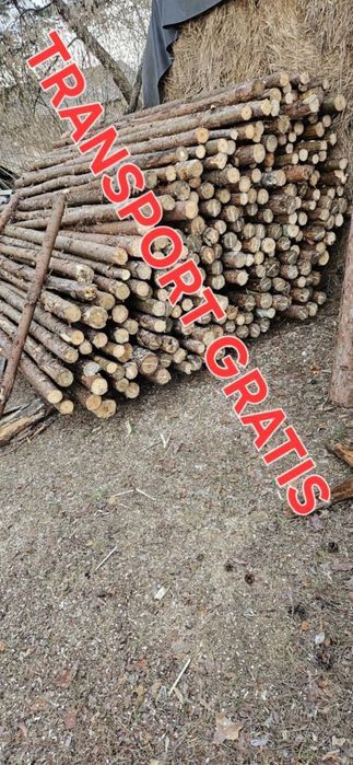 Stemple Budowlane TRANSPORT W CENIE