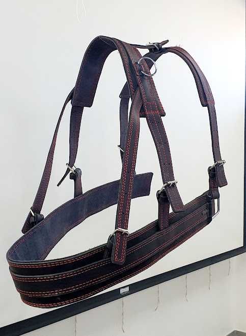 Шлея європейського зразку шкіряна,оздоблена. Великий вибір упряжі