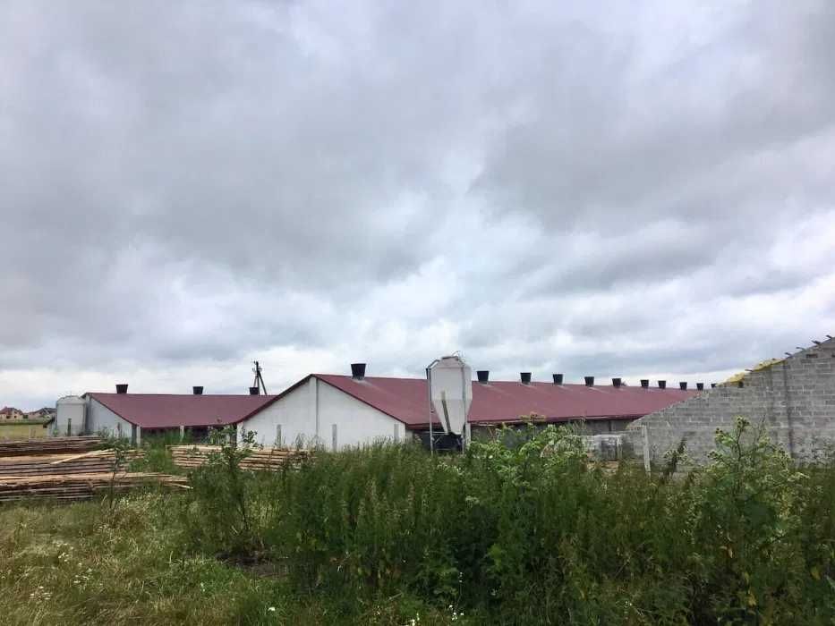 Продам готовий бізнес, оренда: Виробництво макухи, зерносушка, ферма