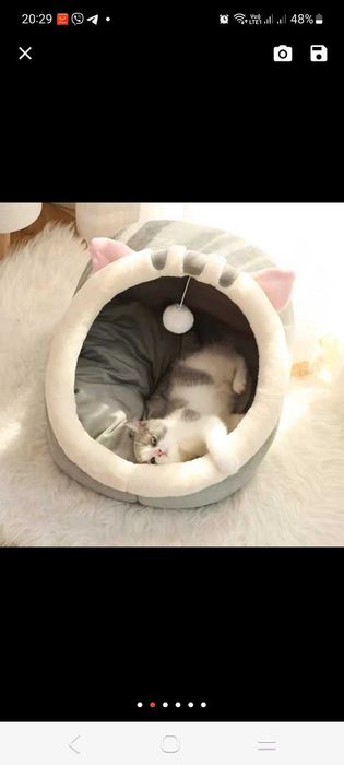 Спальне місце для кішки