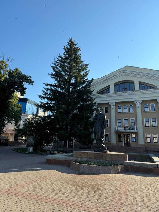 ApartPoltava Атмосферна однокімнатна квартира ЦЕНТР, театр Гоголя