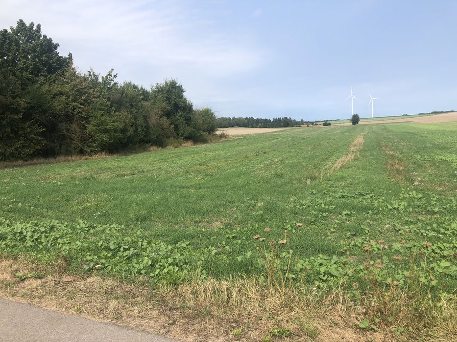 Działka przy drodze asfaltowej 0,30ha