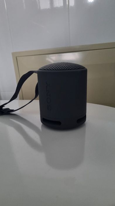 Coluna Bluetooth Sony SRS-XB100 Preto